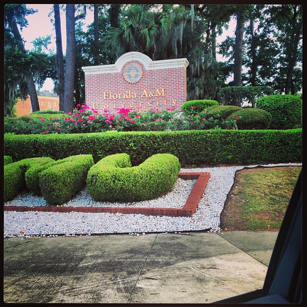 Florida A&M University