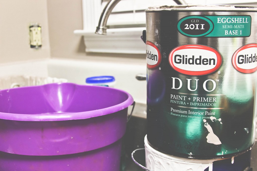 Glidden Duo Paint and Primer