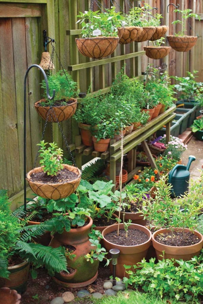 container garden