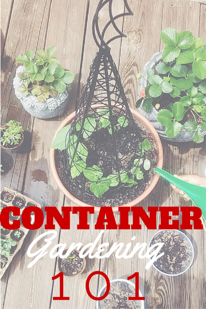 Container Outback(1)