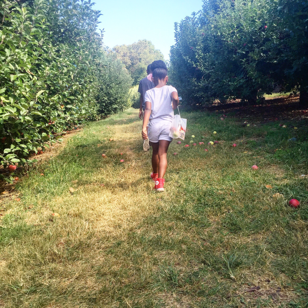 B.J. Reece Apple Orchard