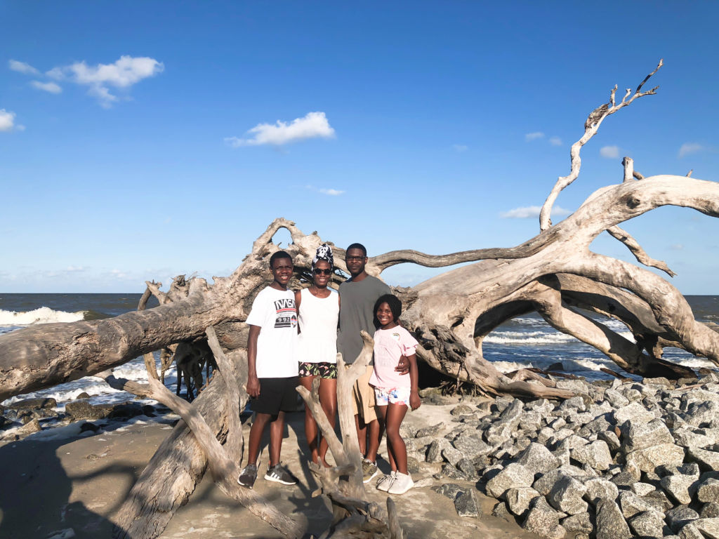 Jekyll Island Driftwood Beach