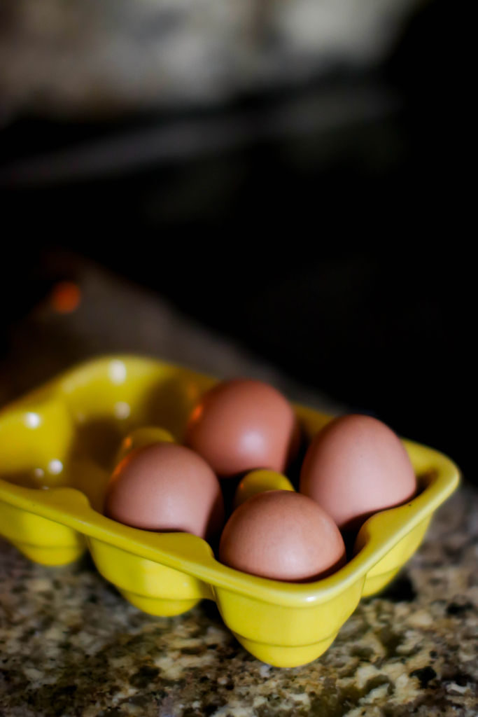 Easy Quiche Recipe